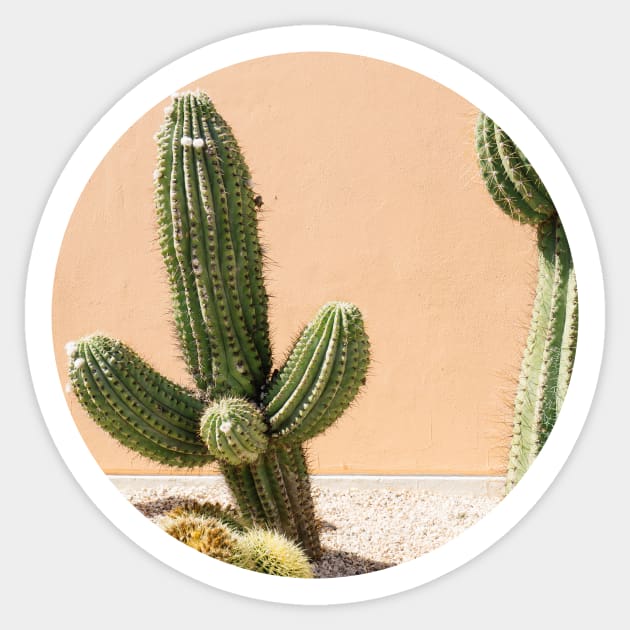 cactus Sticker by Binooo